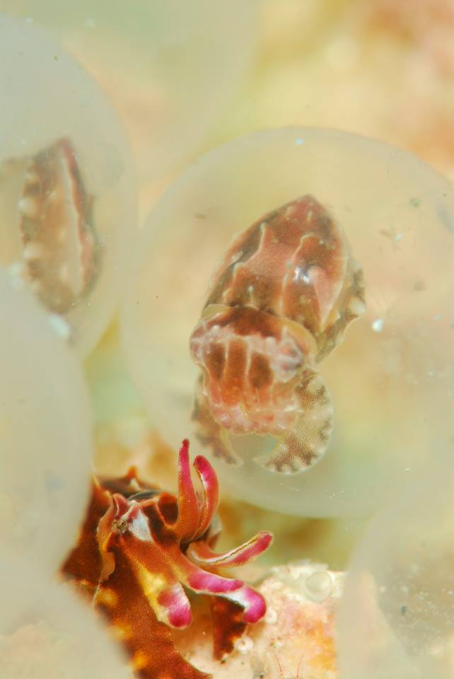 �����@���b�h���b�N